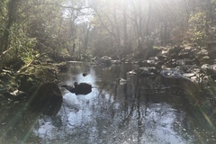 Any Witches Here? Part 11