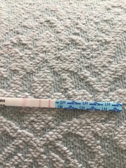 Is this a positive ovulation test?
