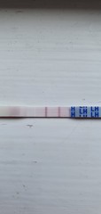 PCOS and OPK's