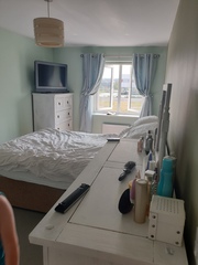 Dulux Willow Tree paint