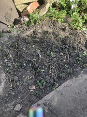 What would you do with this?