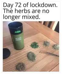 AIBU to ask for your favourite isolation memes?