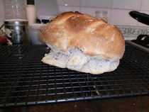 Calling sourdough starter experts!