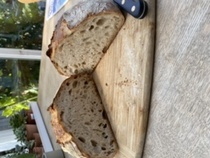 Calling sourdough starter experts!