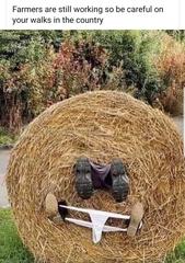 AIBU to ask for your favourite isolation memes?