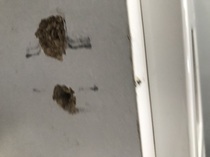 Kitched corner cupboard door falling off - screw holes chipped and broken