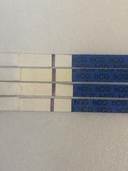 One Step False Positives BFN on Frer