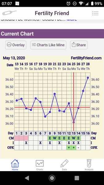 Penguin huddle 🐧🐧🐧 TTC after pregnancy loss - Thread 35 - time for some sticky BFP's