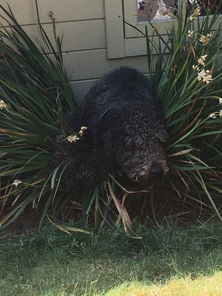 A thread for calm - peace, happy thoughts, support.