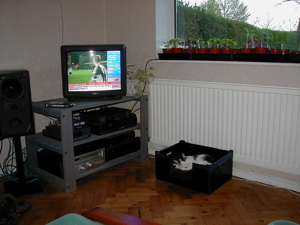 Has anyone restored a parquet floor?