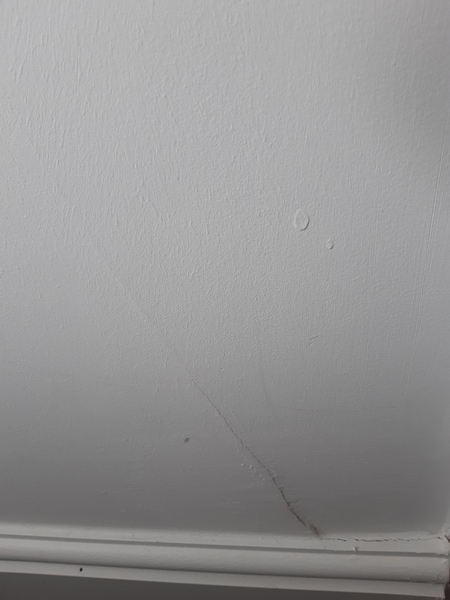New build cracks