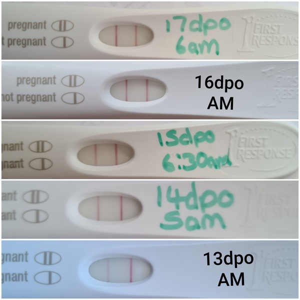 Anyone test to get a 3+ on digital?