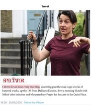 Can Dominic Cummings wife drive?