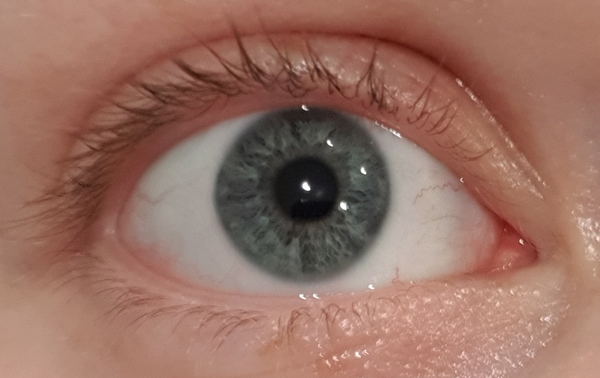 Properly violet or green eyes?