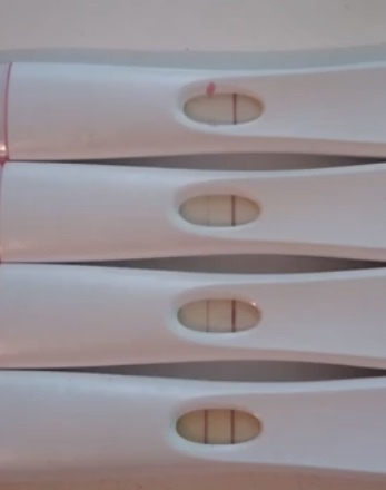 FEBRUARY 2021 DUE DATE