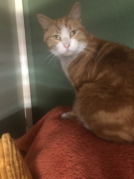 What's your DCat up to today? (Thread 7!)