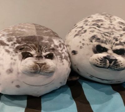 What's been your weirdest purchase lately?
