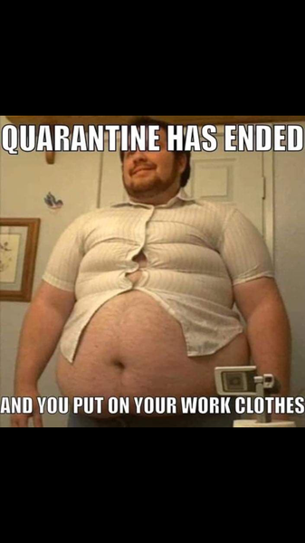 AIBU to ask for your favourite isolation memes?