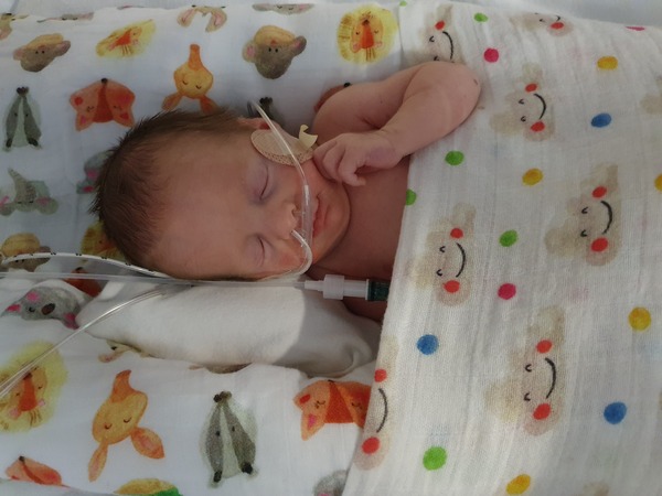 September 2019 #9 - for Twittlebee **title edited by MNHQ**