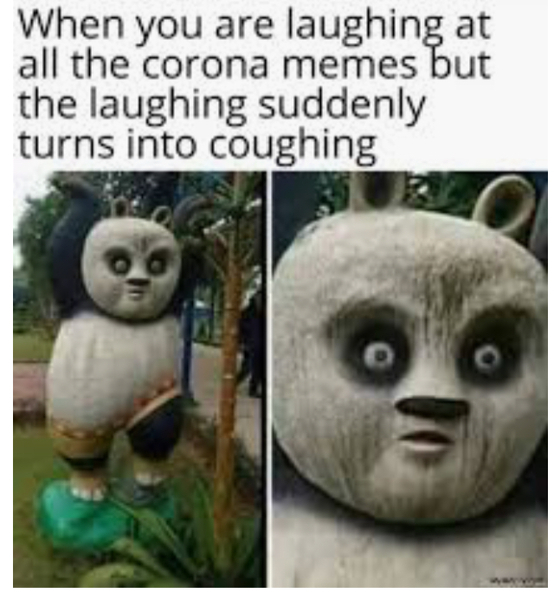 AIBU to ask for your favourite isolation memes?