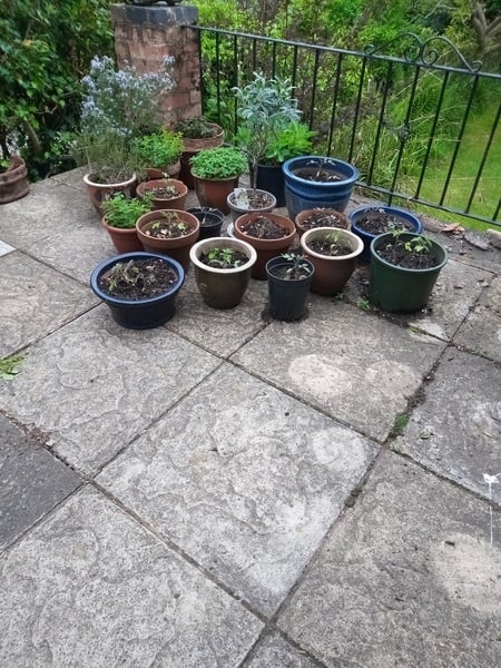 Can I clean my patio without a pressure washer?