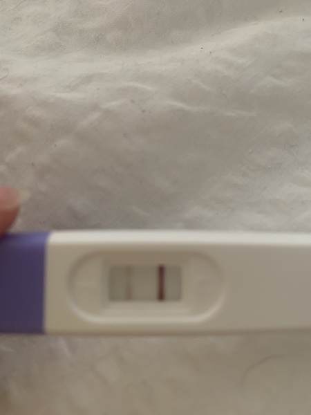 Have I just got my bfp?