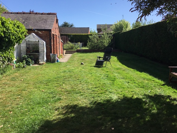 If this was your garden what would you do with it?