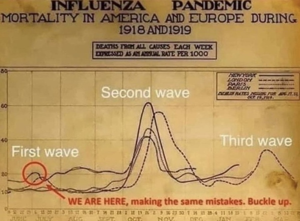 The comparison to Spanish flu?