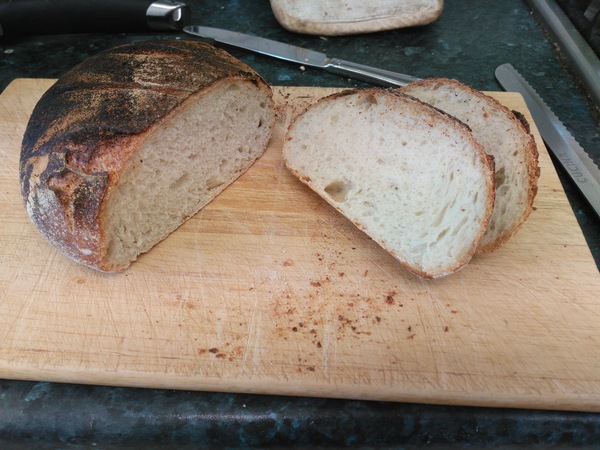 Calling sourdough starter experts!
