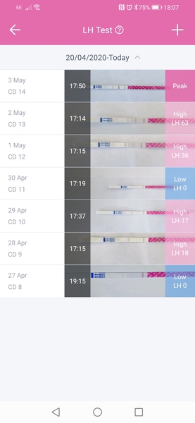 TTC after miscarriage - May 2020