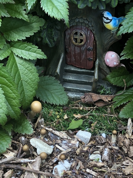 Anyone know anything about mushrooms?