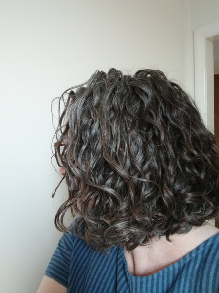 ➿ Fantastic Haircare: Making Sense and Science of the Curly Girl Method