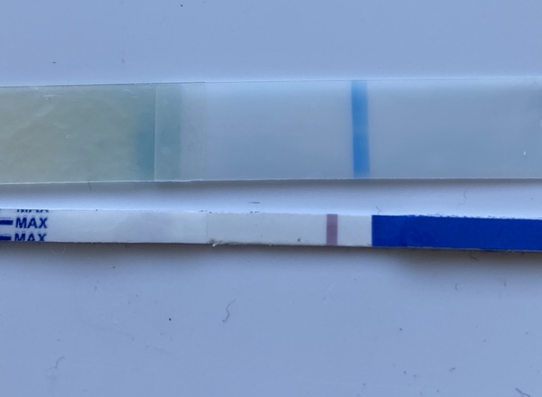 Anyone want to join me...2dpo