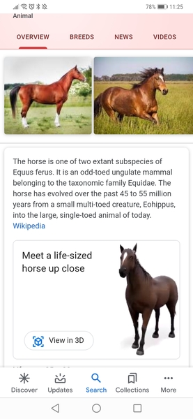 Google “Horse” right now