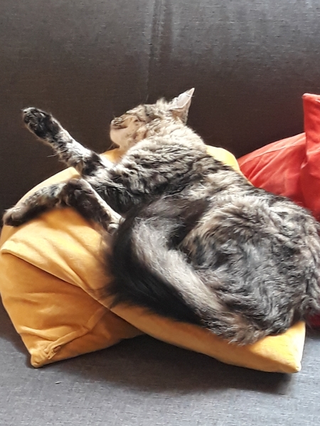 Westminstenders: Political vacuums are very bad things