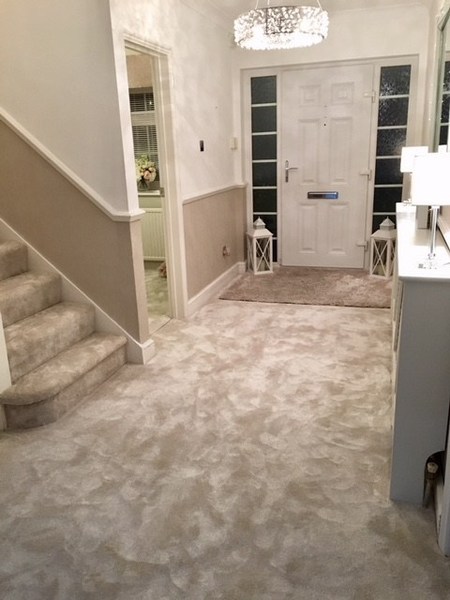 Shimmery carpet & LVT