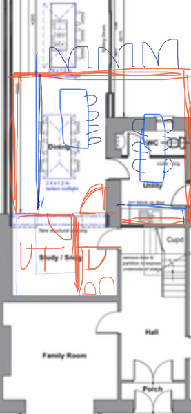 Kitchen plan....any thoughts ?