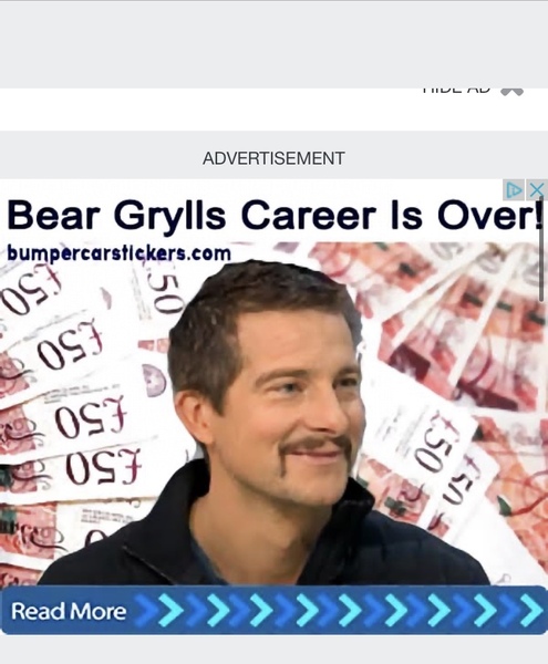 Is anyone else just getting this weird bear grumps advert on MN?