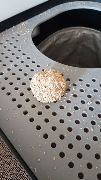 Litter tray care and maintenance- I’m a newb, please help!