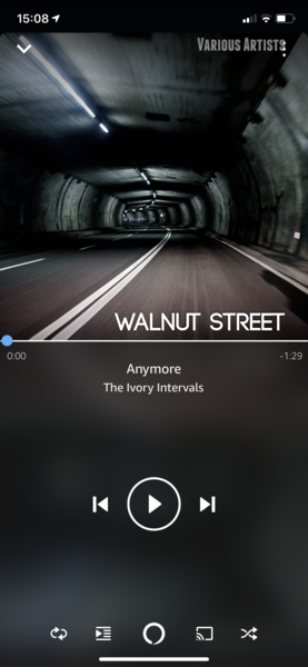 Help! Cannot find what I shazamed!
