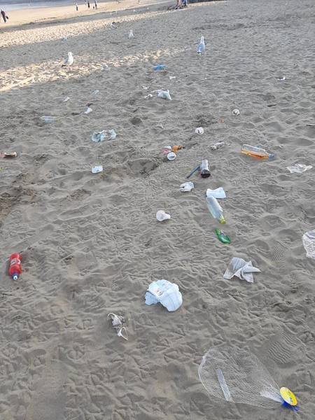 to wonder where all the beach revellers are toileting?