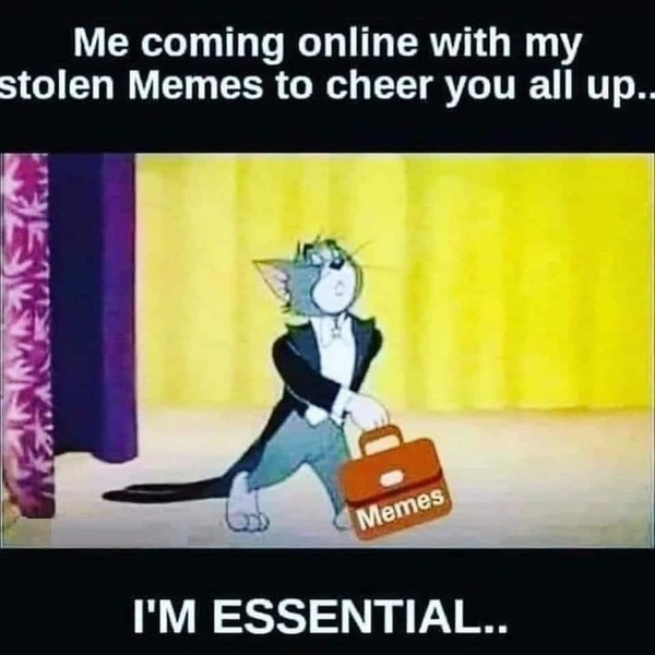 AIBU to ask for your favourite isolation memes?