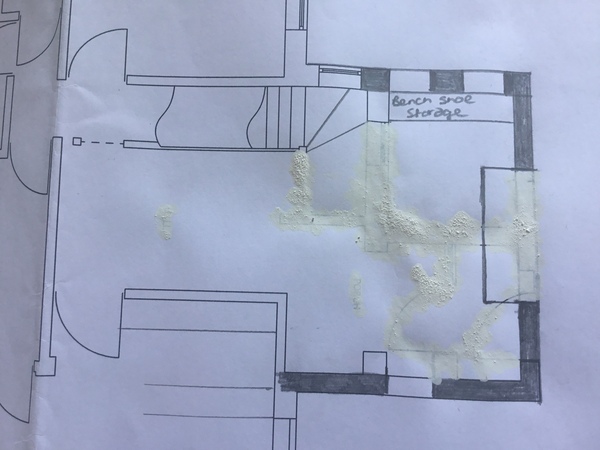 Ideas for a large entrance hall