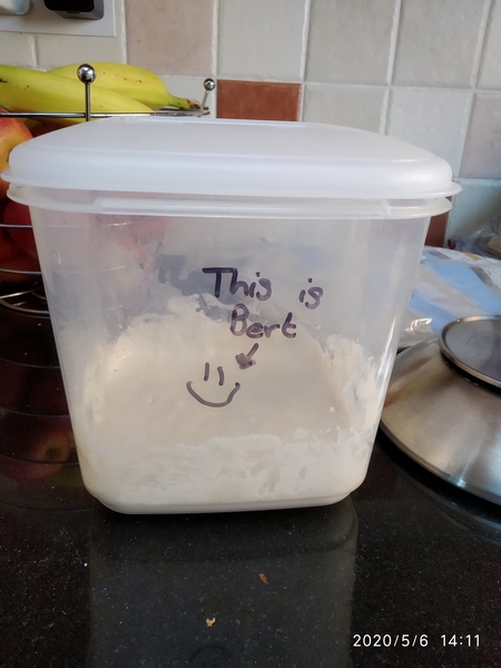 April Amigos Accounting Achievements and Adaptability