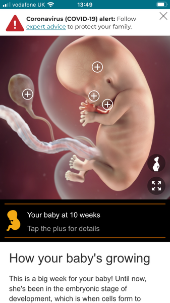 10 week scan worry