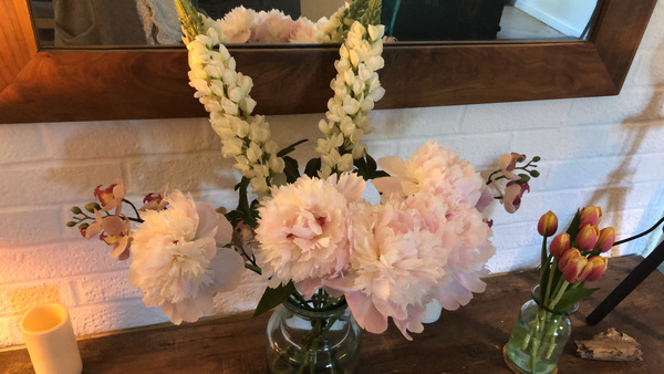 What are your fav type of flowers ?