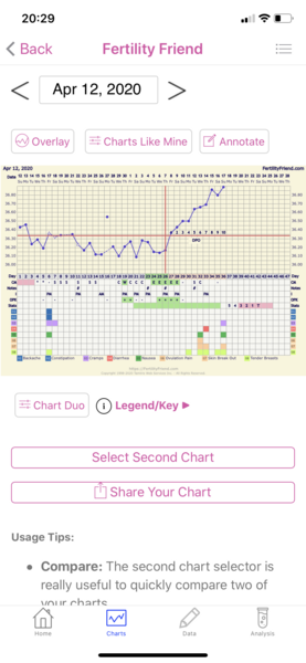 Bfn @ 10dpo but bbt still high:(