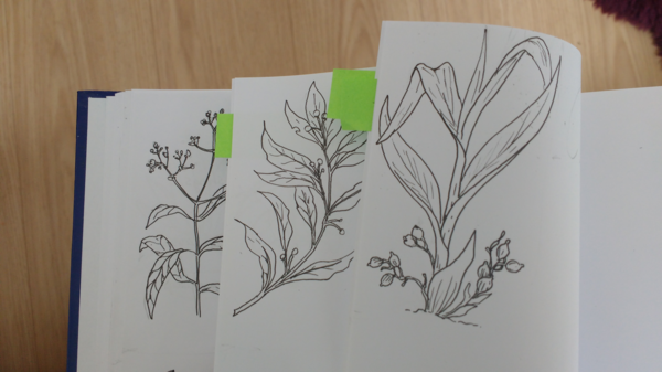 Any Witches Here? Part 11