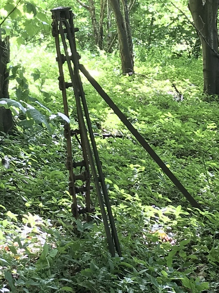Does anyone know what this is?