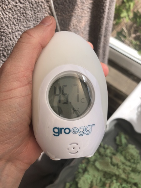 What's the crack with conservatories? What am I doing wrong?